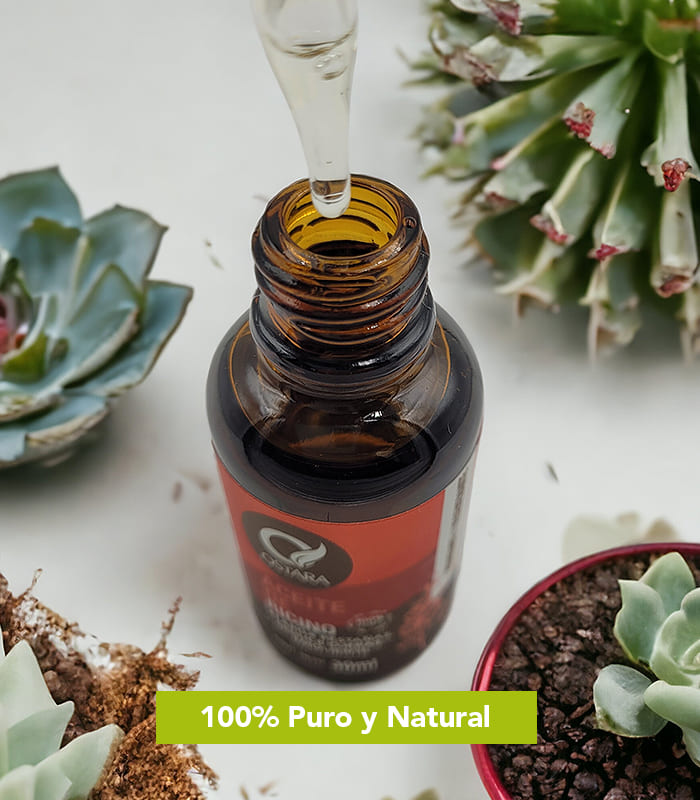 aceite de ricino 2